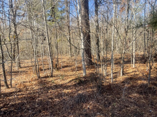 Listing photo 3 for LOT8 Black Pearl Dr, Warrenton GA 30828