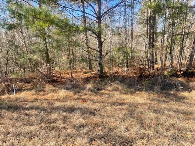 LOT8 Black Pearl Dr, Warrenton GA, 30828 land for sale