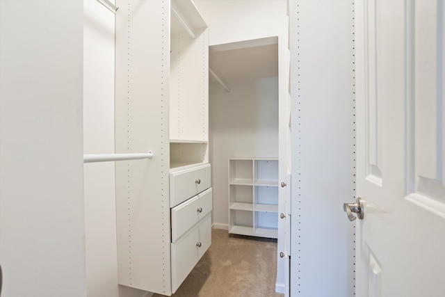 spacious closet featuring light colored carpet