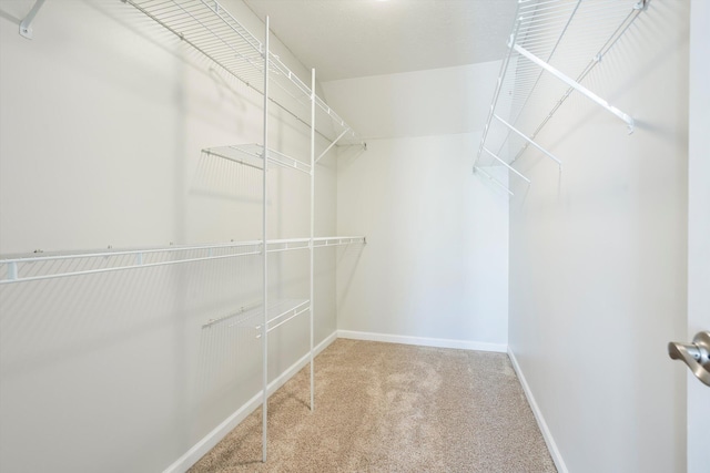 spacious closet with carpet flooring