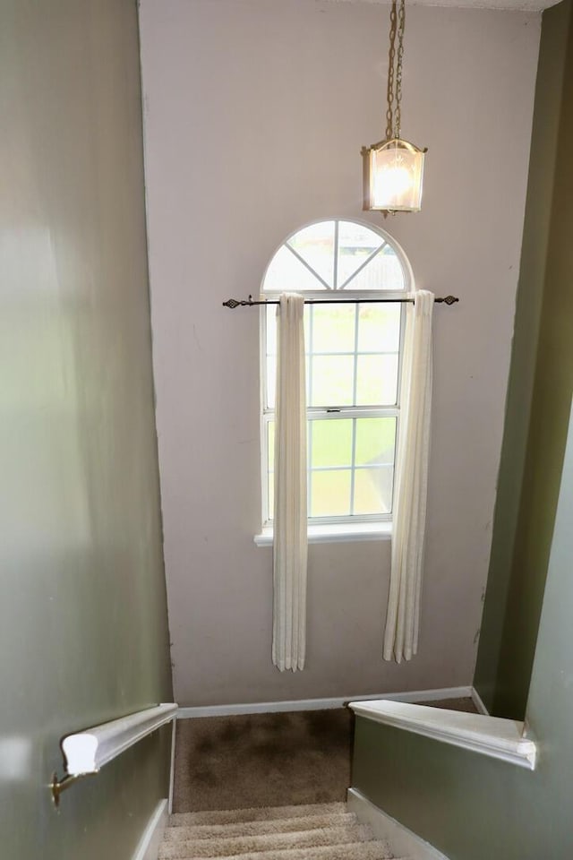 interior space featuring baseboards and carpet flooring