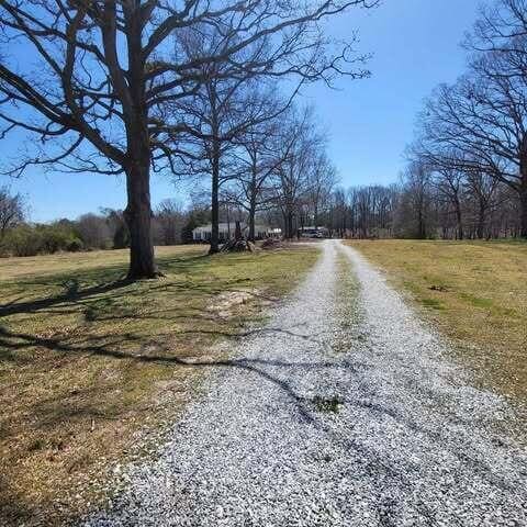 view of road featuring gravel driveway