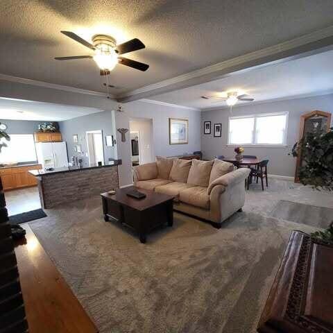 living area with a textured ceiling, ceiling fan, and ornamental molding