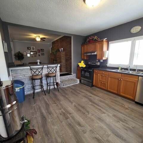 kitchen with dark countertops, dishwasher, black / electric stove, and a sink