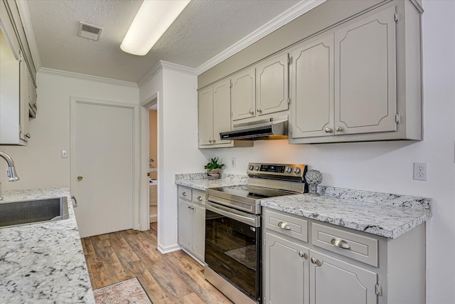 360 Stagecoach Way, Martinez, GA 30907 - kitchen featuring stainless steel electric range, under cabinet range hood, light wood-style flooring, crown molding, and light countertops