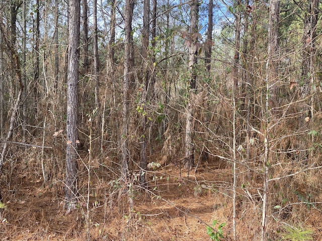 0 Adams-Reeves Rd, Dearing, GA 30808 - photo 4
