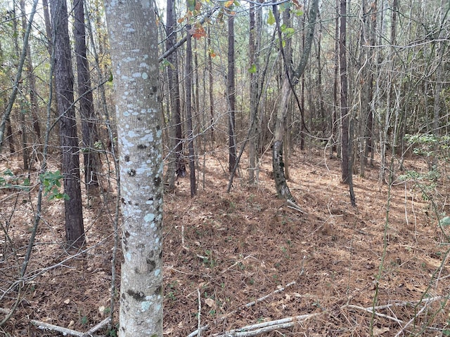 Listing photo 2 for 0 Adams-Reeves Rd, Dearing GA 30808