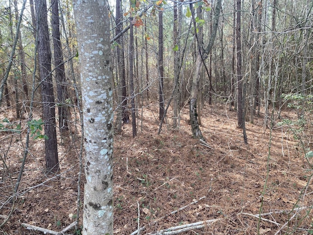0 Adams-Reeves Rd, Dearing, GA 30808 - photo 2