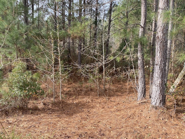 Listing photo 3 for 0 Adams-Reeves Rd, Dearing GA 30808