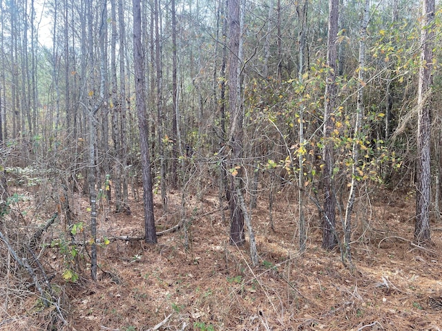 0 Adams-Reeves Rd, Dearing GA, 30808 land for sale