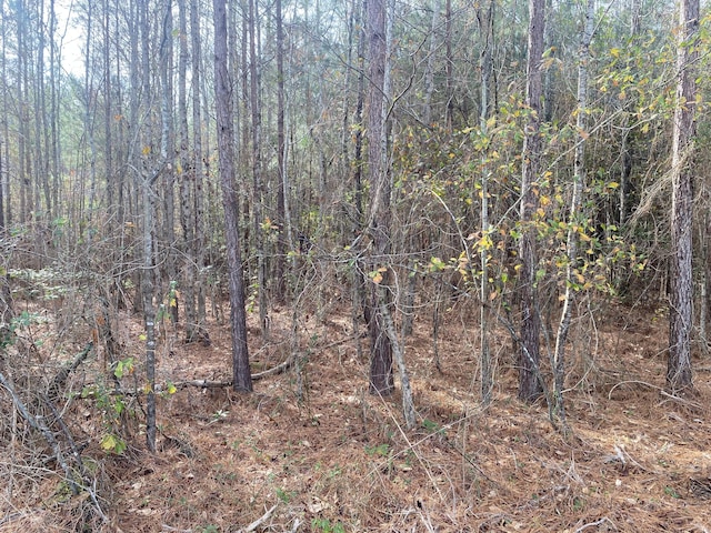 0 Adams-Reeves Rd, Dearing, GA 30808 - photo 1