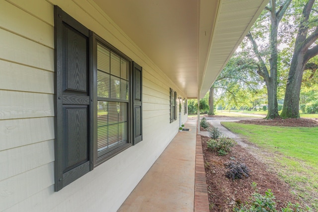 946 Wilds Ave, Aiken, SC 29803 - photo 8