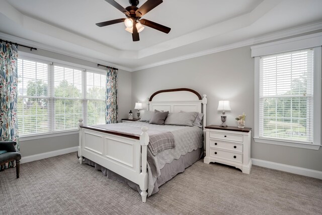 carpeted bedroom with a tray ceiling, multiple windows, and ceiling fan