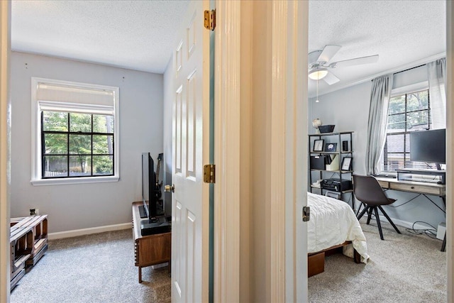2920 Arrowhead Dr, Augusta, GA 30909 - bedroom featuring carpet, a textured ceiling, multiple windows, and a desk