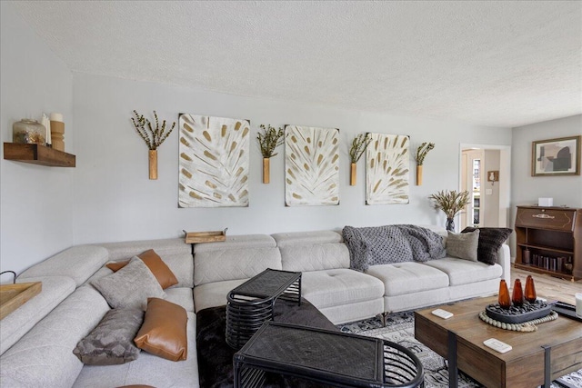 2920 Arrowhead Dr, Augusta, GA 30909 - living room with a textured ceiling