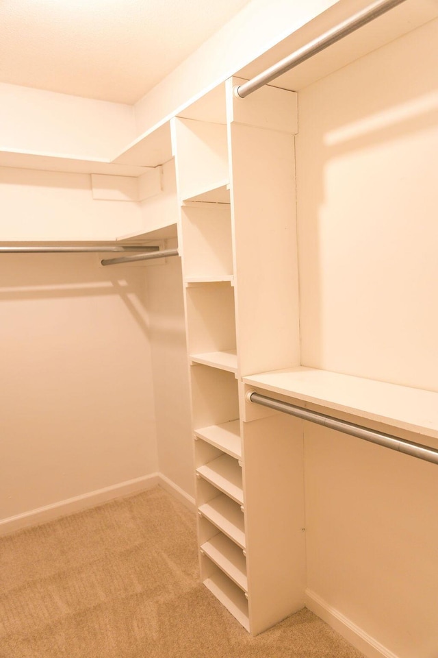 337 Patton Ct, Martinez, GA 30813 - spacious closet featuring light carpet