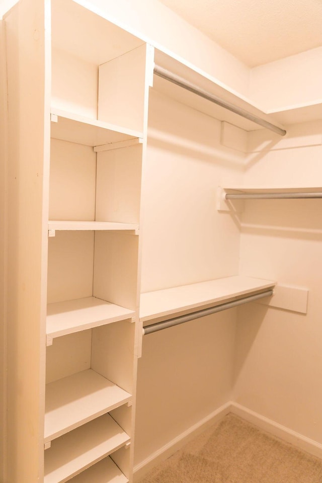 337 Patton Ct, Martinez, GA 30813 - spacious closet featuring carpet