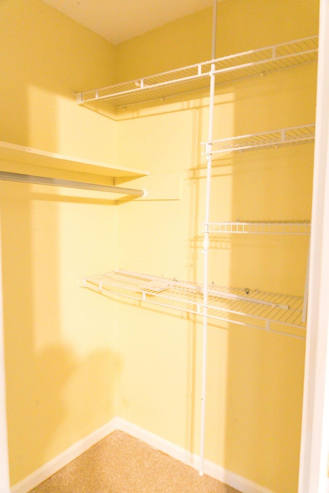 337 Patton Ct, Martinez, GA 30813 - walk in closet featuring carpet