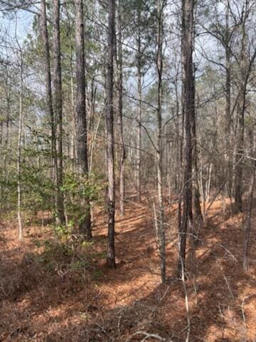 0 Centrailia Rachels Rd, Warthen GA, 31094 land for sale