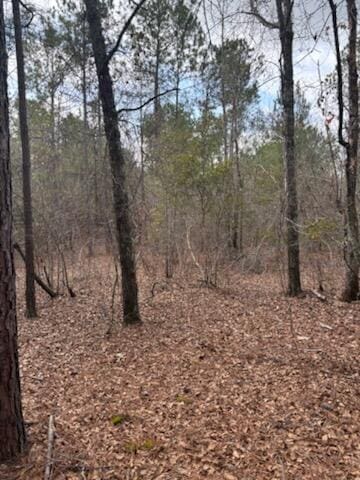 Listing photo 3 for 0 Centrailia Rachels Rd, Warthen GA 31094