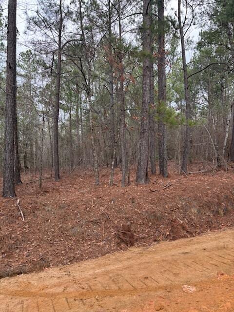 Listing photo 2 for 0 Centrailia Rachels Rd, Warthen GA 31094