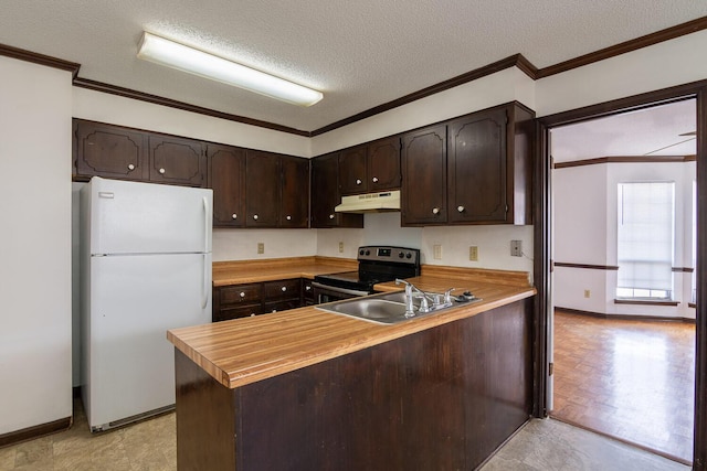 kitchen with electric range, freestanding refrigerator, a sink, dark brown cabinetry, and under cabinet range hood