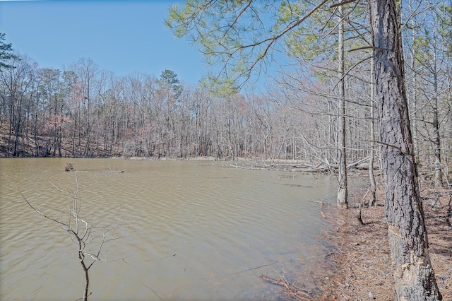 1021 S Pointe Ct, Tignall, GA 30668 - water view