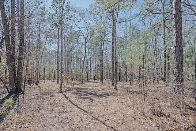 1021 S Pointe Ct, Tignall, GA 30668 - view of wooded area