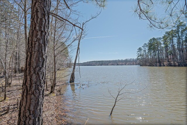 1021 S Pointe Ct, Tignall, GA 30668 - water view