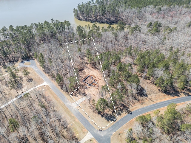 1021 S Pointe Ct, Tignall, GA 30668 - aerial overview of property's location featuring property boundaries highlighted and a forest