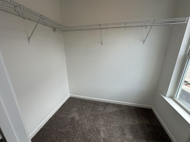 5051 Anna Way Unit Fb23, North Augusta, SC 29841 - spacious closet with carpet floors