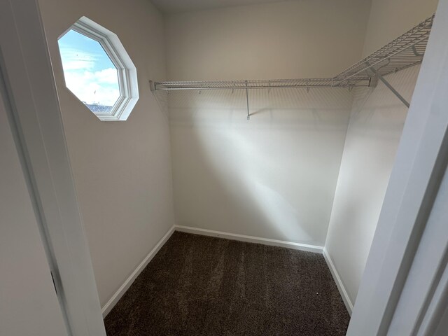 5051 Anna Way Unit Fb23, North Augusta, SC 29841 - walk in closet featuring carpet flooring