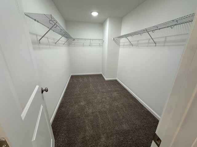 5051 Anna Way Unit Fb23, North Augusta, SC 29841 - spacious closet with dark colored carpet