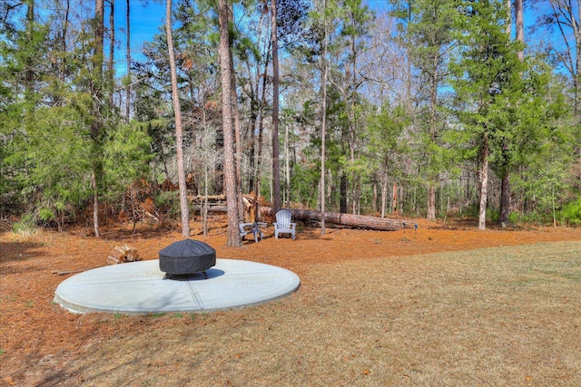 338 Pro Cir, Mccormick, SC 29835 - view of yard featuring a fire pit