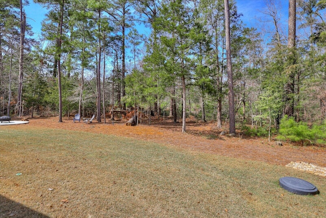 338 Pro Cir, Mccormick, SC 29835 - view of yard