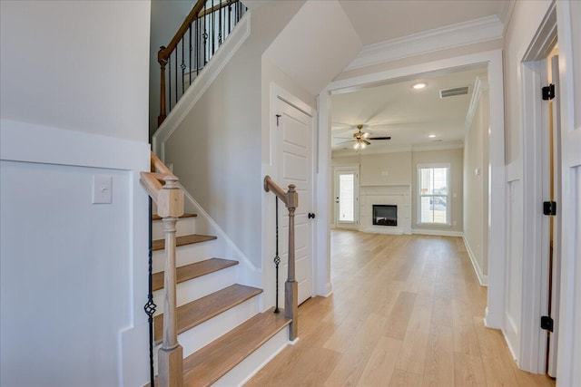 staircase with hardwood / wood-style floors, crown molding, and ceiling fan