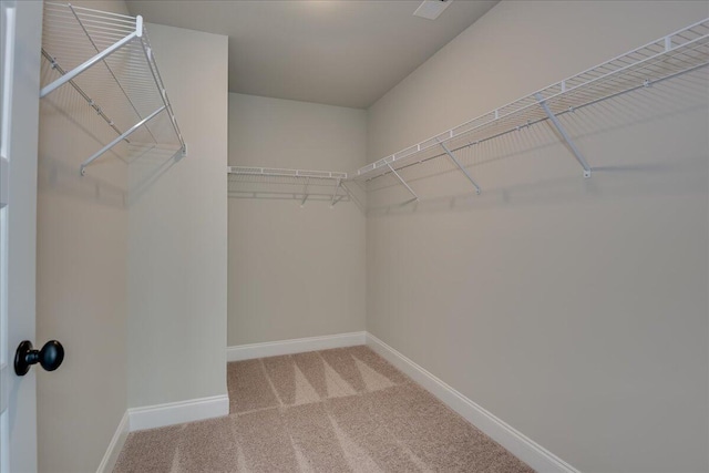 spacious closet featuring carpet floors