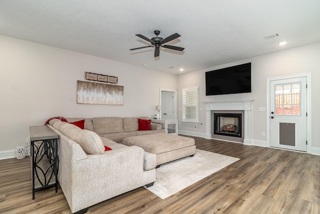 living room featuring ceiling fan and wood-type flooring