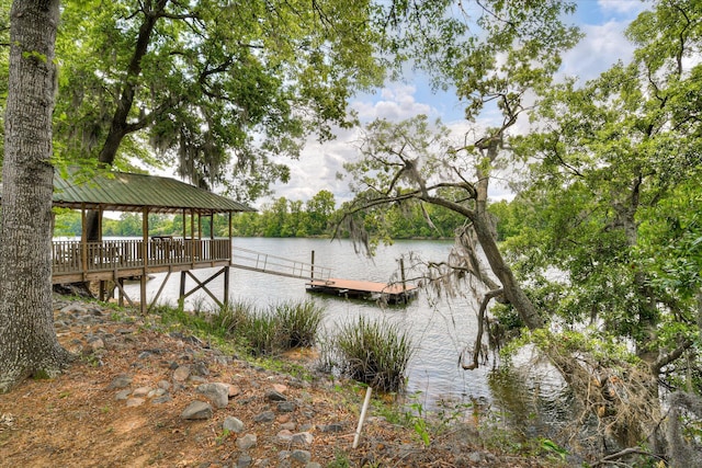dock area with a water view