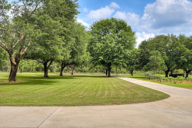 view of home's community featuring a lawn