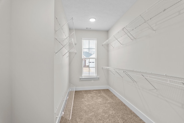 242 Dublin Loop, Grovetown, GA 30813 - photo 17