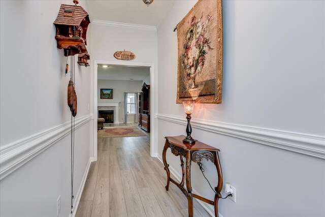 4932 Fairmont Dr, Graniteville, SC 29829 - hall featuring crown molding and light wood-style floors