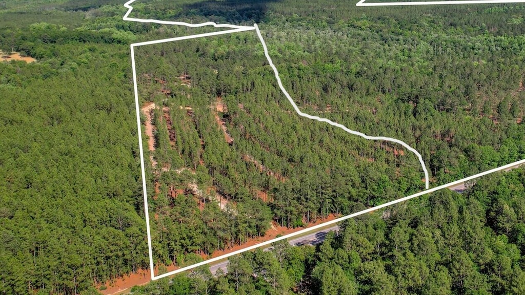 80ACRES Columbia Hwy, Ridge Spring, SC 29129