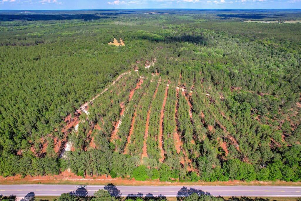 80ACRES Columbia Hwy, Ridge Spring, SC 29129