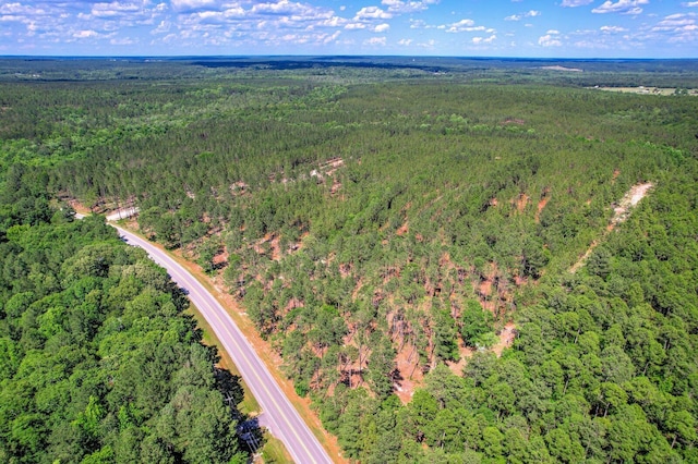 80ACRES Columbia Hwy, Ridge Spring, SC 29129