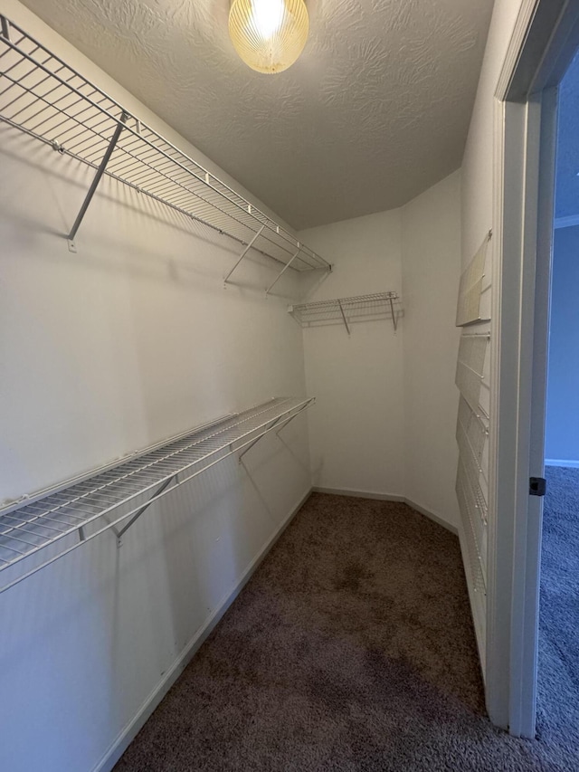 walk in closet with carpet flooring