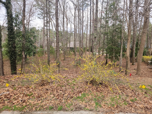 138 Chelesa Ct, Aiken SC, 29803 land for sale