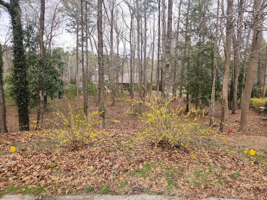 138 Chelesa Ct, Aiken, SC 29803 - photo 1