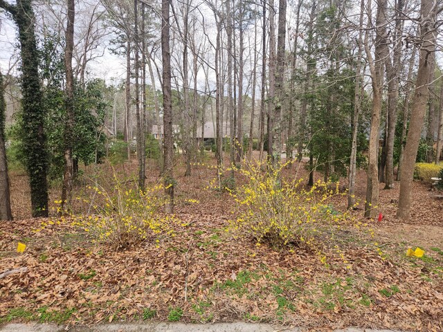 138 Chelesa Ct, Aiken, SC 29803 - photo 1