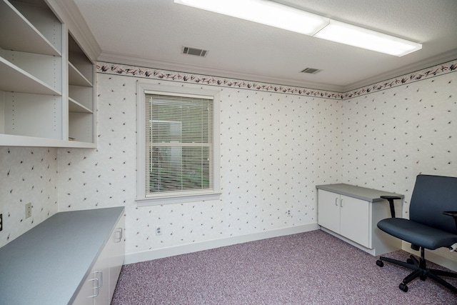 unfurnished office featuring a textured ceiling, light colored carpet, and ornamental molding